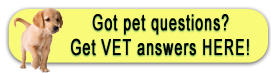 Sully Animal Hospital - Veterinarians serving Centreville, VA - Help