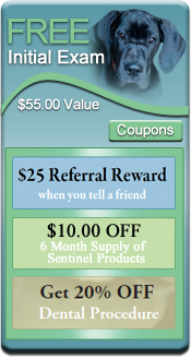 Sully Animal Hospital - Veterinarians serving Centreville, VA - Coupons