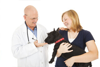 Dog with Doctor