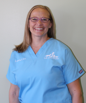 Sully Animal Hospital - Centreville, VA - Our Licensed Veterinary Technician Sully Animal Hospital - Centreville, VA - Our Licensed Veterinary Technician