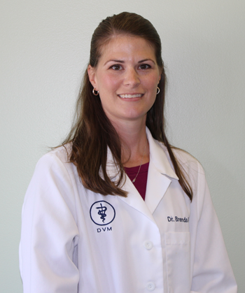 Dr. Brenda Taddeo DVM - Sully Animal Hospital - Centreville, VA Dr. Brenda Taddeo DVM - Sully Animal Hospital - Centreville, VA