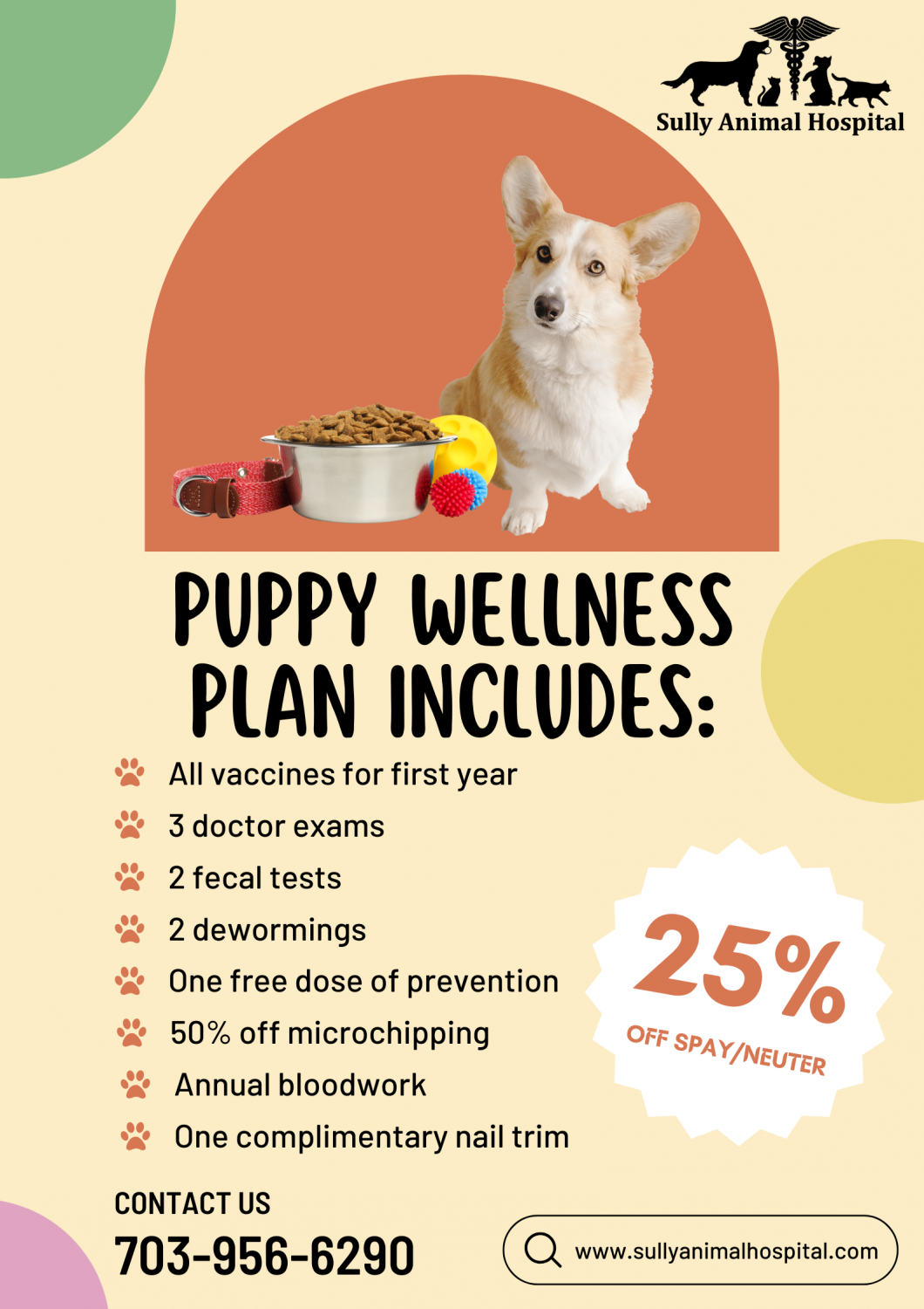 Puppy Wellness Ad Banner