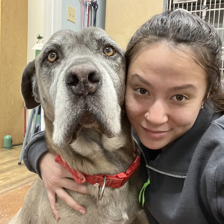 Milla - Veterinary Assistant