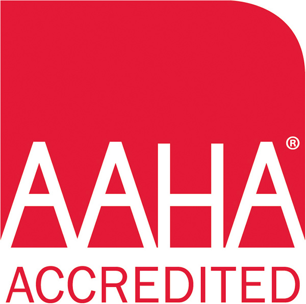 AAHA logo AAHA logo