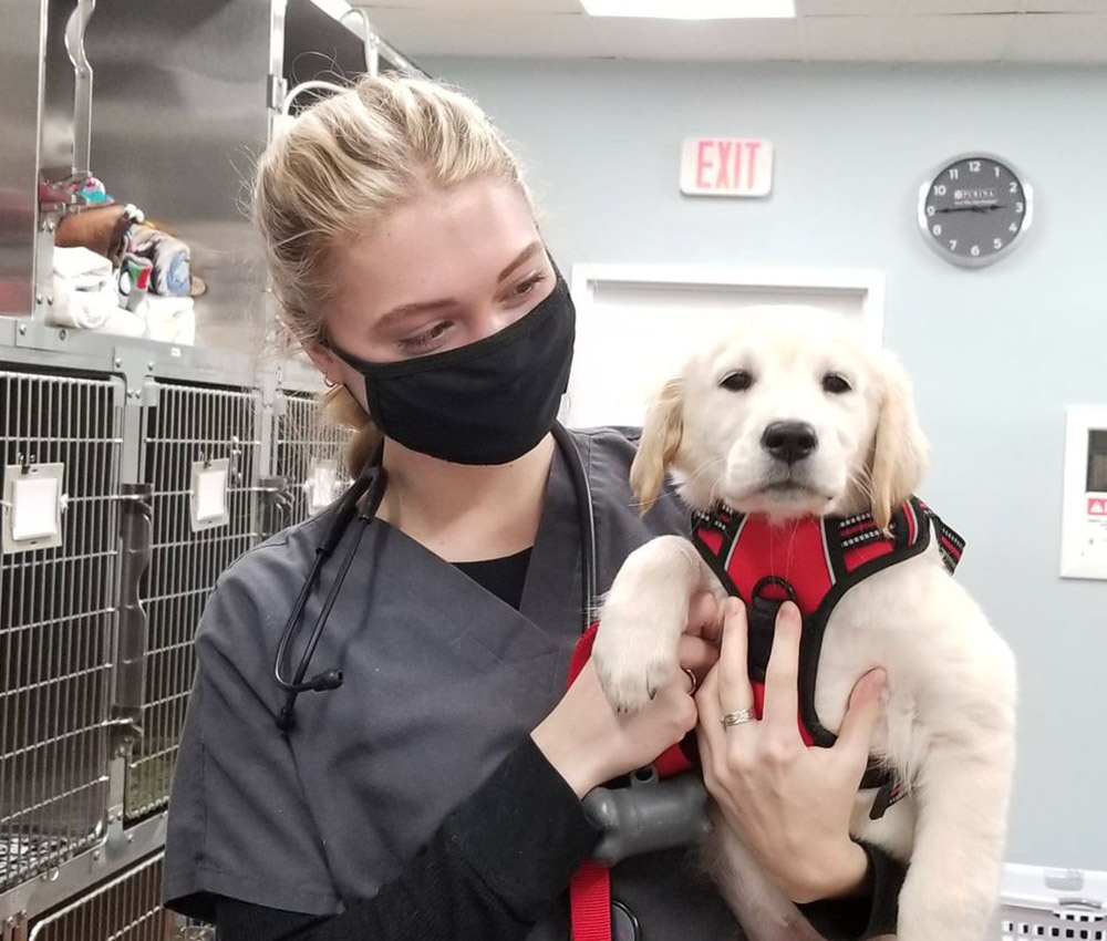 staff holding puppy