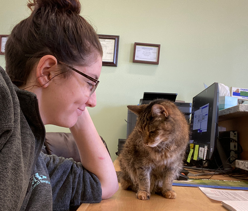 Staff with cat on desk