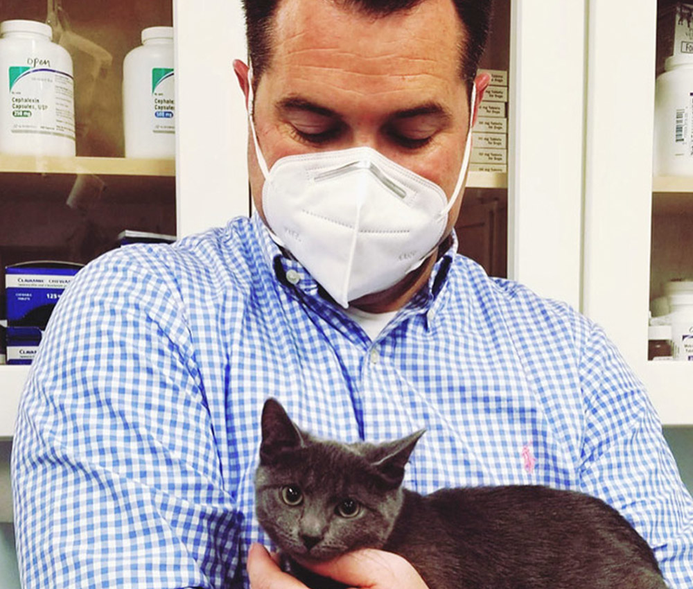 staff holding kitten