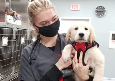 Staff with Puppy