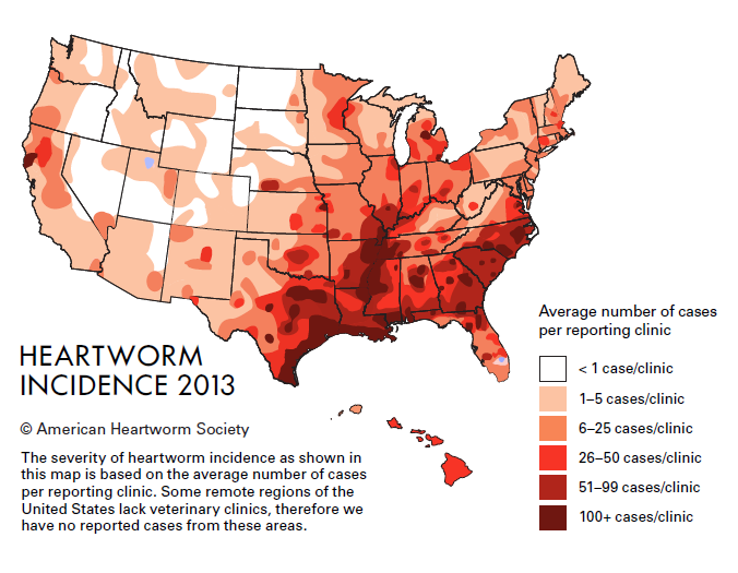 incidence map