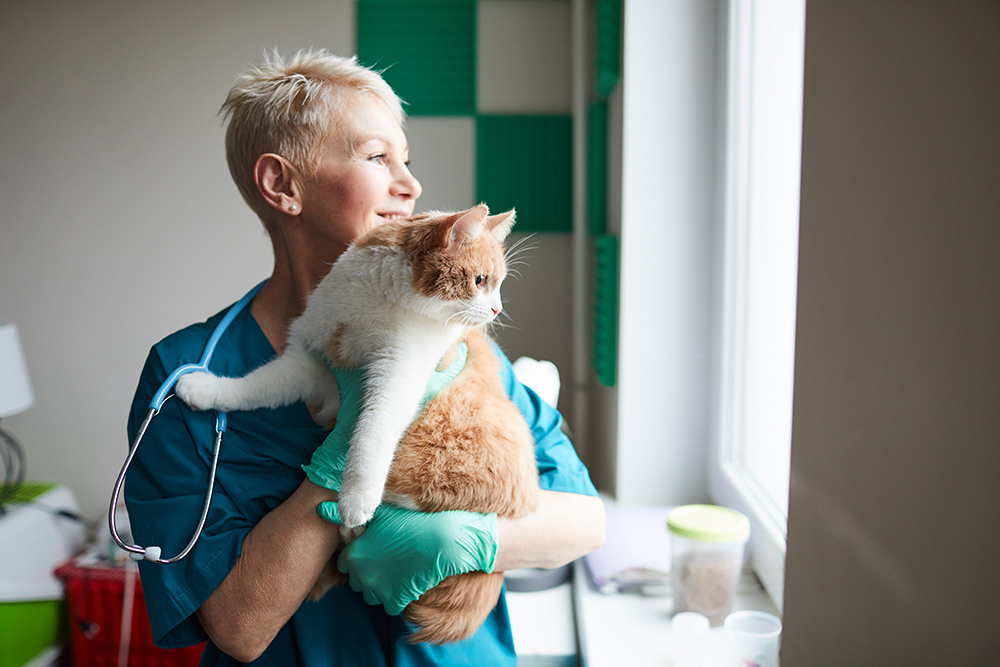 Pet Wellness - Woman Holding Cat